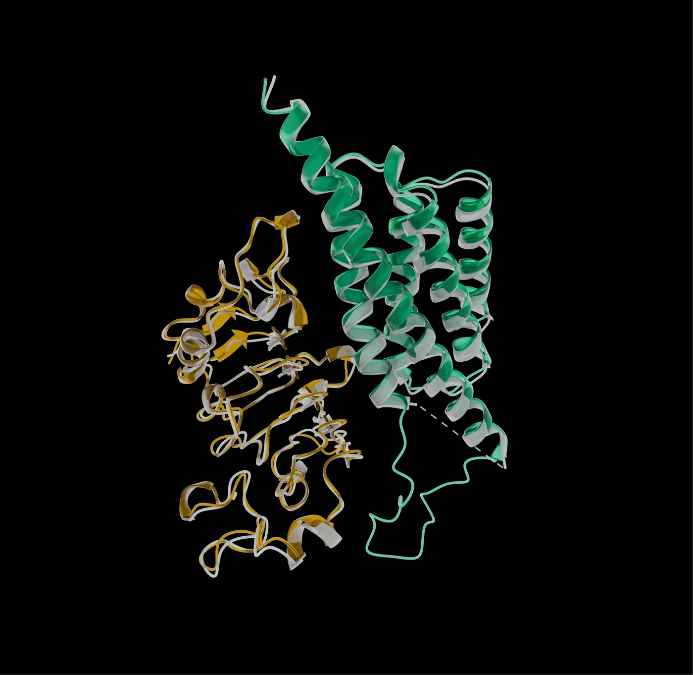 Cryo-EM structure of ESMFold2-designed minibinder bound to EGFR